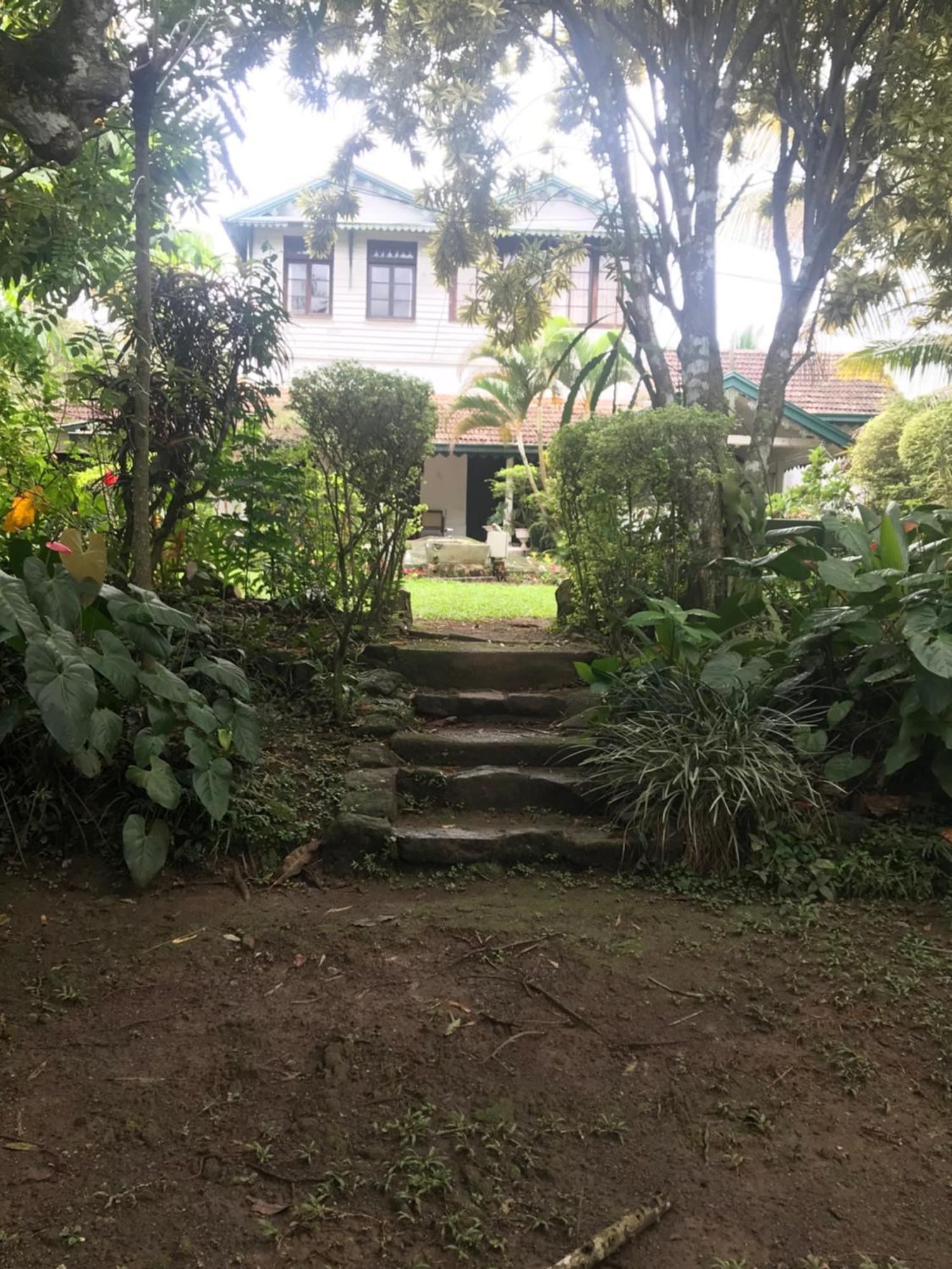 Wattarantanne Homestay Kandy Exteriér fotografie
