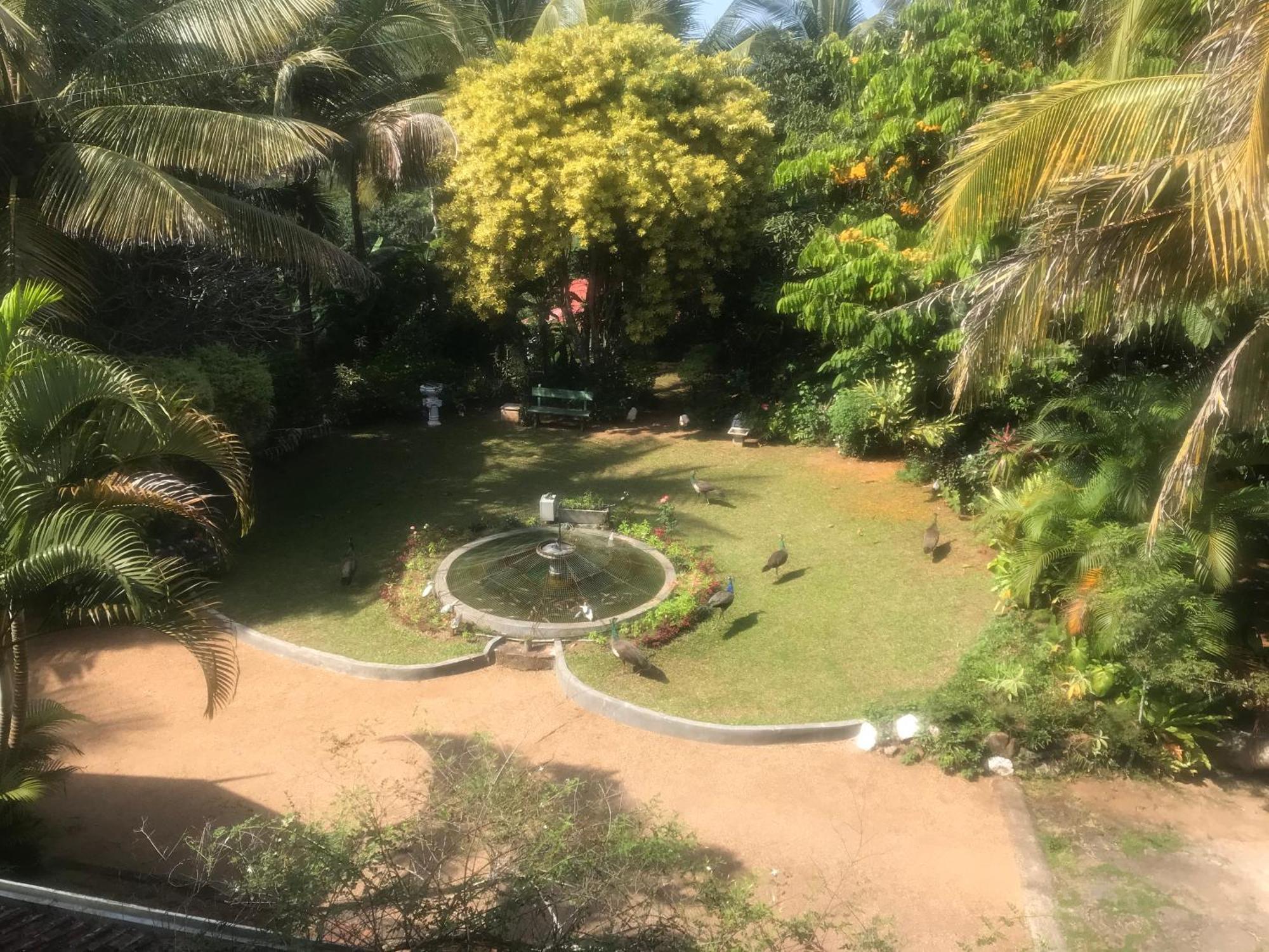 Wattarantanne Homestay Kandy Exteriér fotografie