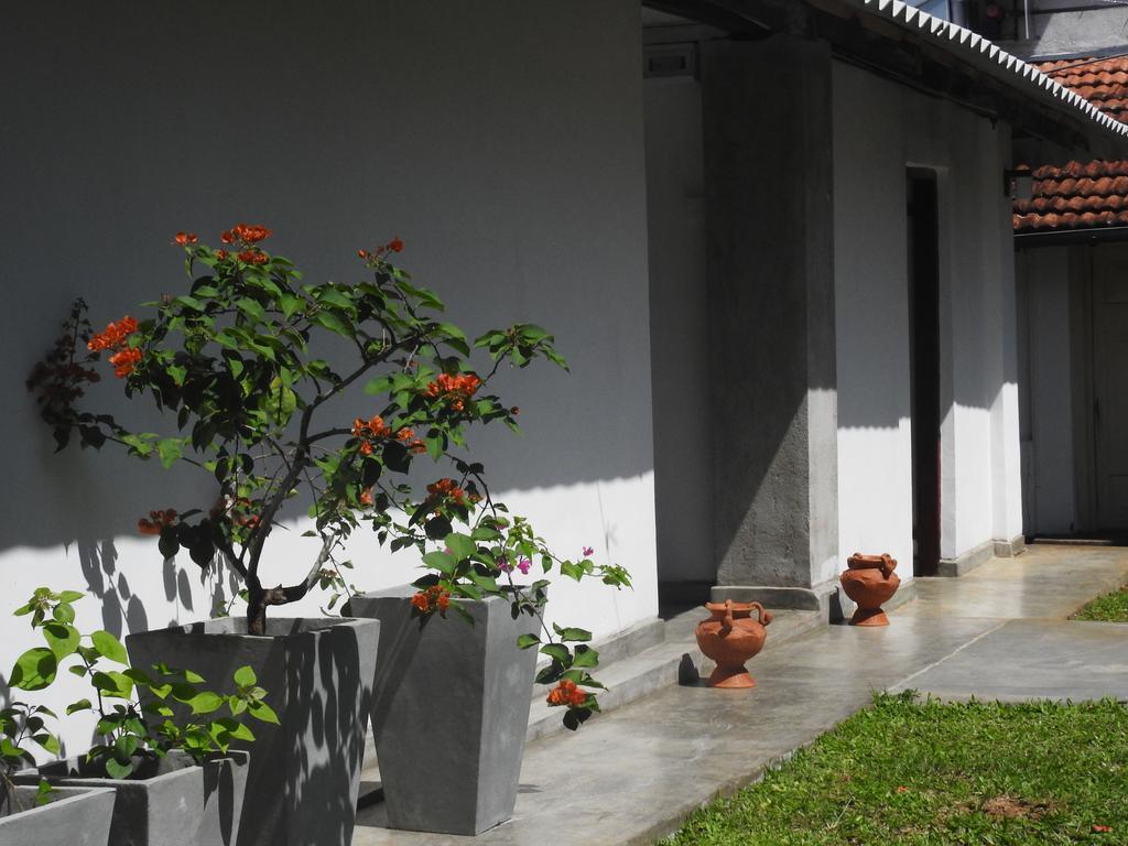 Wattarantanne Homestay Kandy Exteriér fotografie